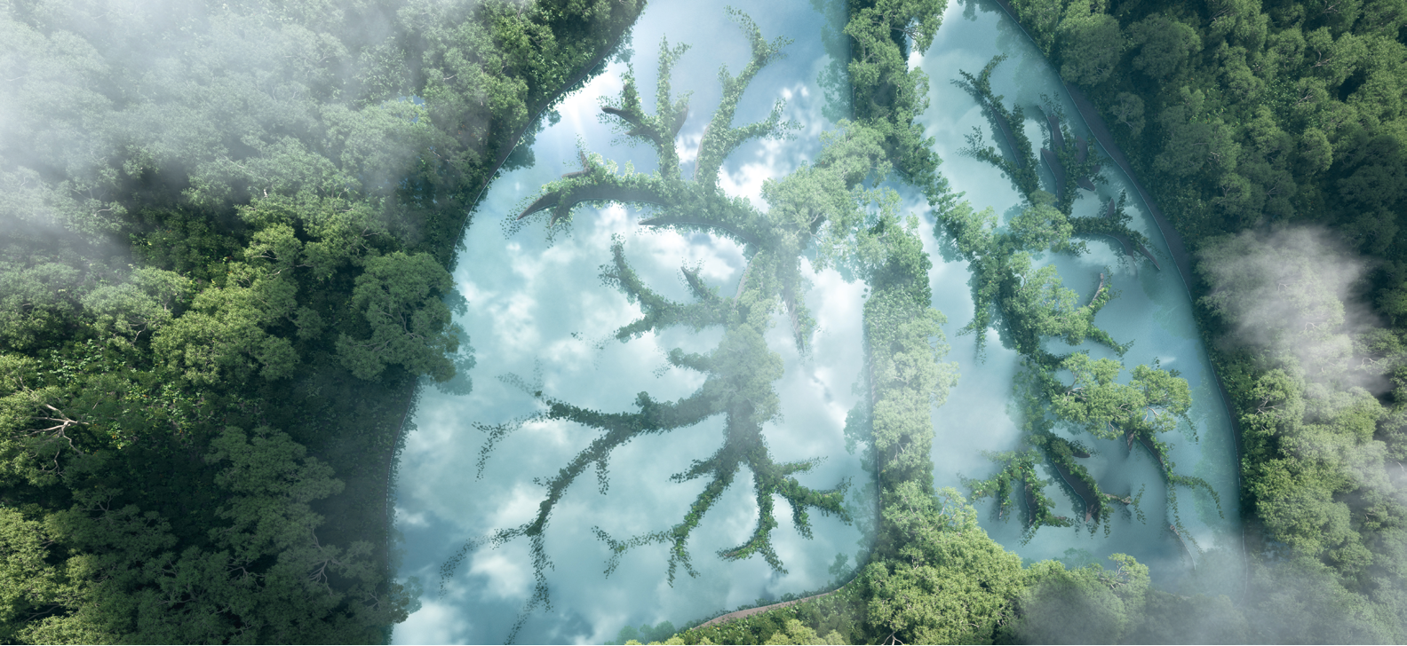 Luchtfoto van een dichtbegroeid bos met een waterpartij in de vorm van menselijke longen, waarbij boomtakken als bronchiën in het water reiken. Mistige randen versterken het beeld van de natuur als de longen van de aarde.
